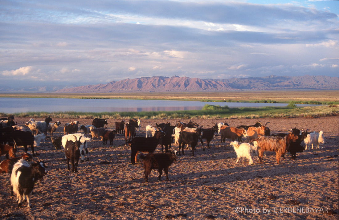 Bayankhongor province, Mongolia